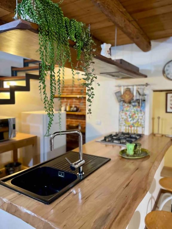 - un comptoir de cuisine avec un évier et une plante au-dessus dans l'établissement Romeos Cottage Public free parking bike rental, à Vérone