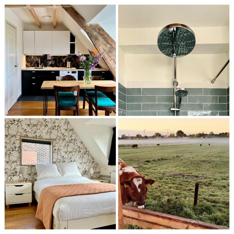 a collage of pictures of a kitchen and a bedroom at The Grutto, private apartment 25 min from city center in Amsterdam