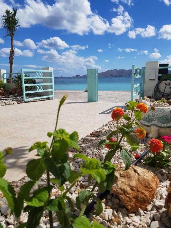 a garden with flowers and the ocean in the background at Haraki Mare Studios beach front in Haraki