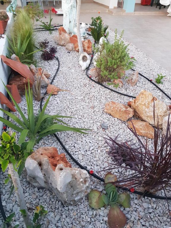 Zahrada ubytování Haraki Mare Studios beach front