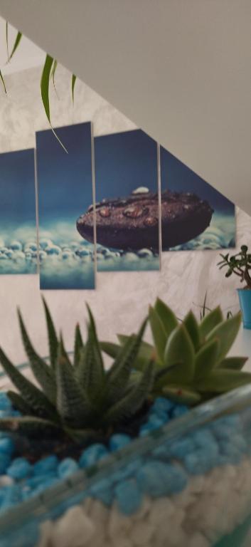 Fotografie z fotogalerie ubytování B&B La Munachell ve Vieste
