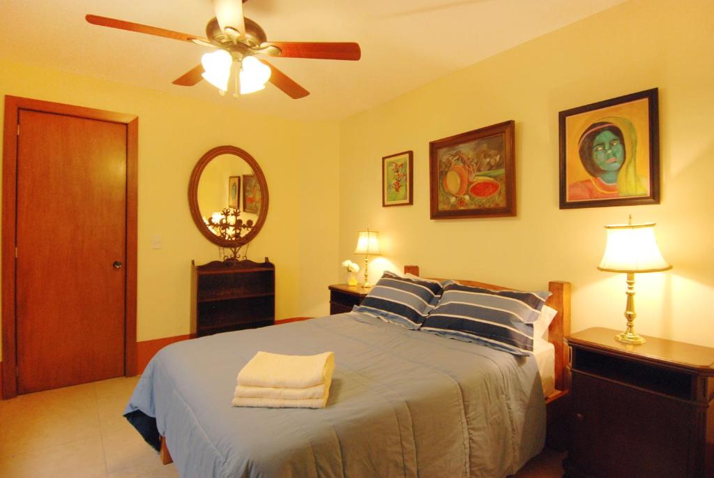 a bedroom with a bed with a ceiling fan and a mirror at Olga Querida B&B Hostal in Guadalajara