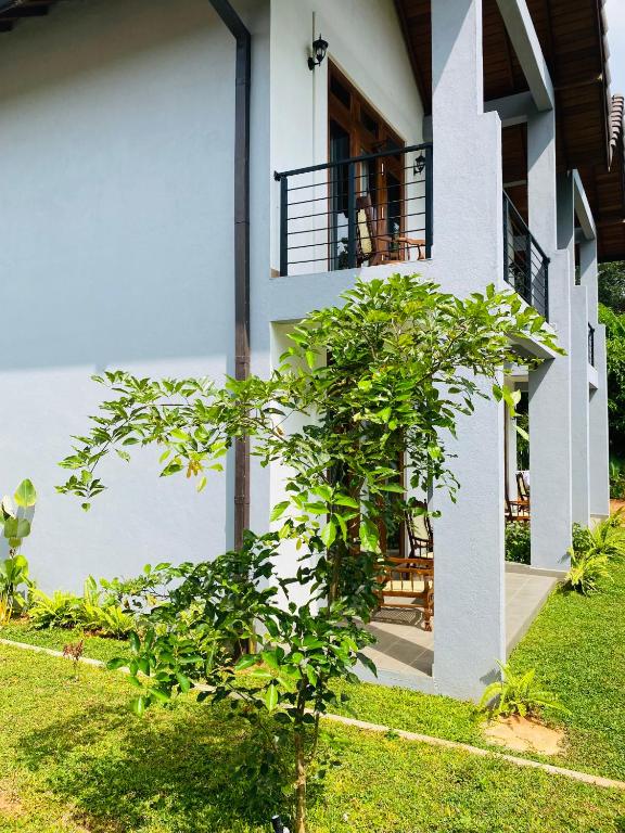 Zahrada ubytování Lion Gate Hotel Sigiriya