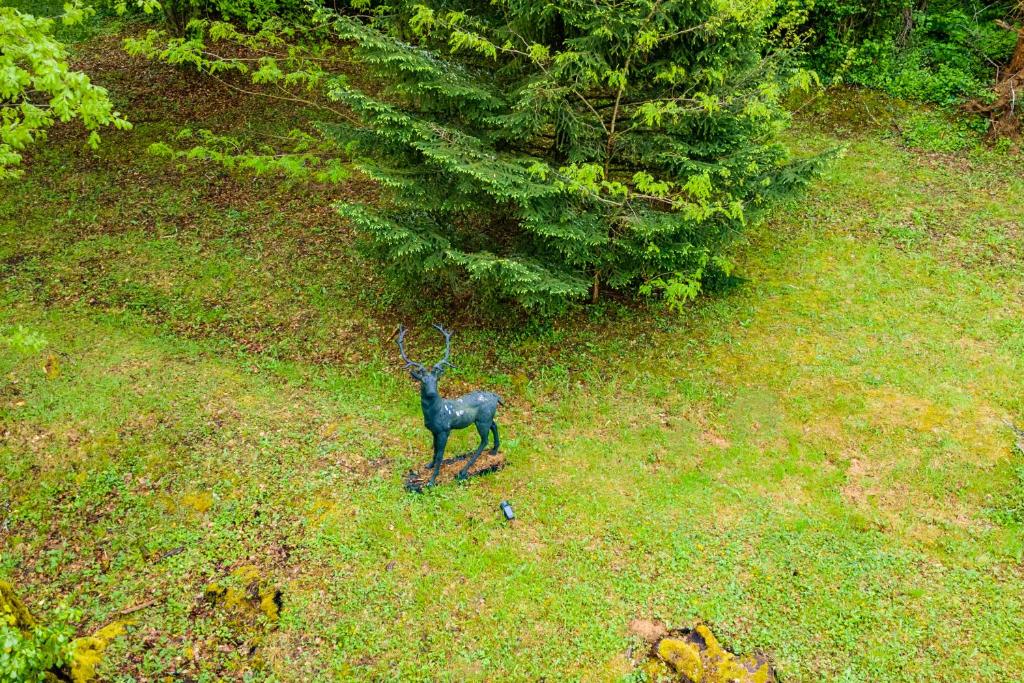 a statue of a deer in a field of grass at Gîtes et chambres croix du sud in Saint-Amand-de-Vergt