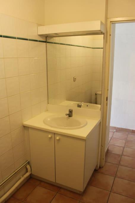 GourbeyreLocation studio vue exceptionnelle proximité mer的带水槽和镜子的浴室