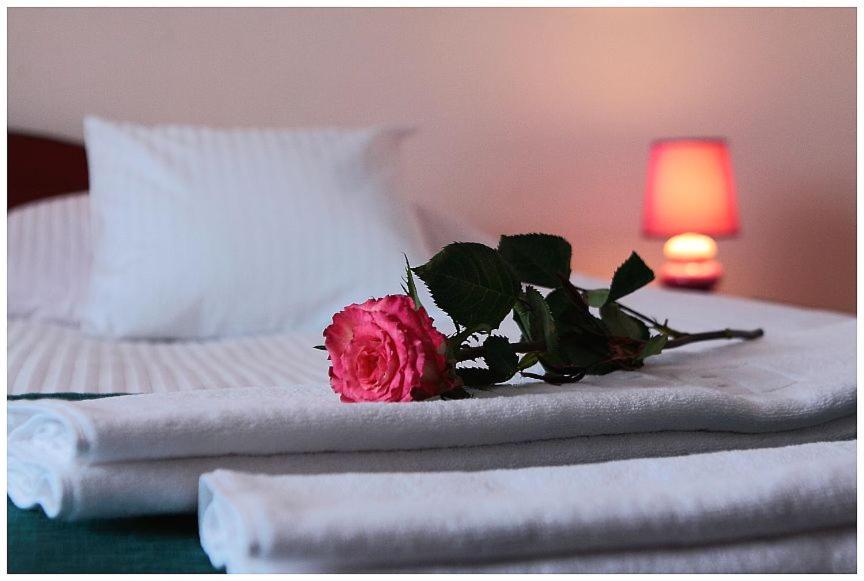 Hotel GoGreen *** - Resim 15