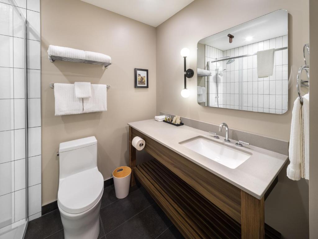 a bathroom with a toilet and a sink and a mirror at Buffalo Mountain Lodge in Banff