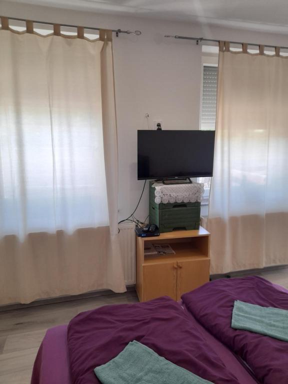 ミシュコルツにあるGábor -lak 2のベッドと薄型テレビのある寝室