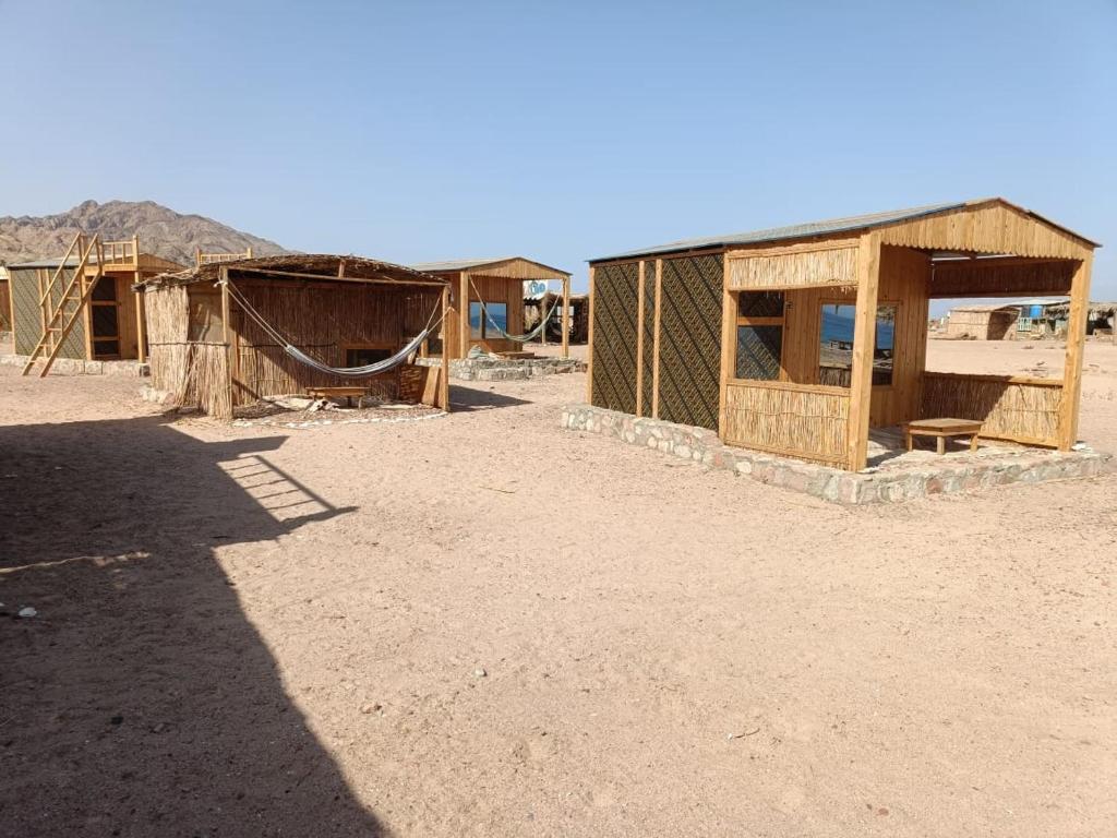 Fotografie z fotogalerie ubytování Sea sound Camp v destinaci Nuweiba‘ el Muzeinah
