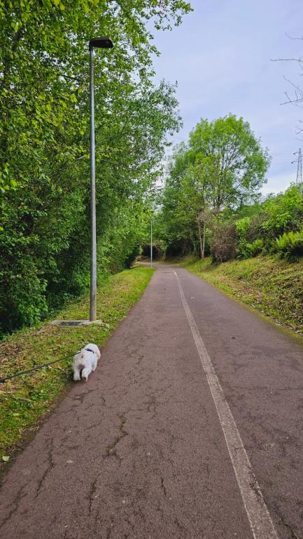 Fotografie z fotogalerie ubytování Casa Rural Simonan Borda v destinaci Oiartzun