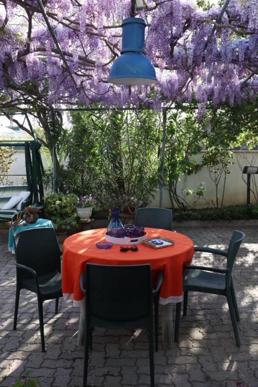 Zahrada ubytování B&B I versi del mare