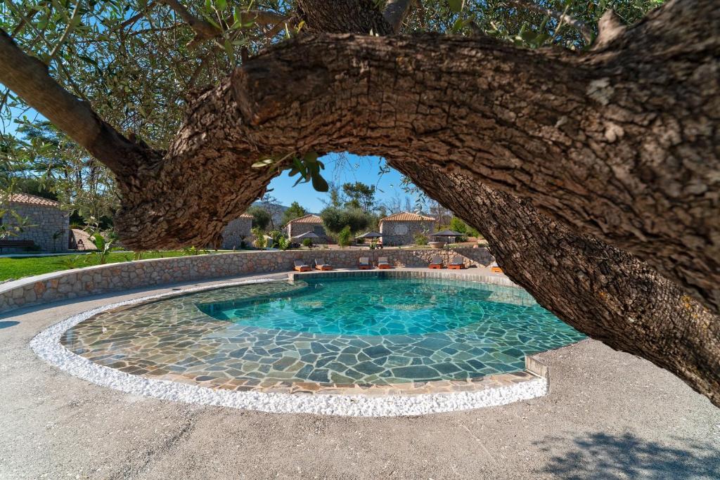a swimming pool under a tree with a tree trunk at AGROTOPIA Guesthouses in Theologos