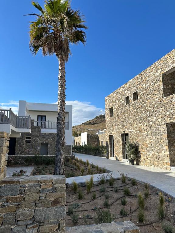 a palm tree in front of a building at Cavo piso livadi in Piso Livadi