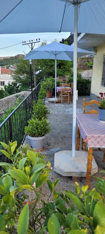 Zahrada ubytování Guesthouse Reçka