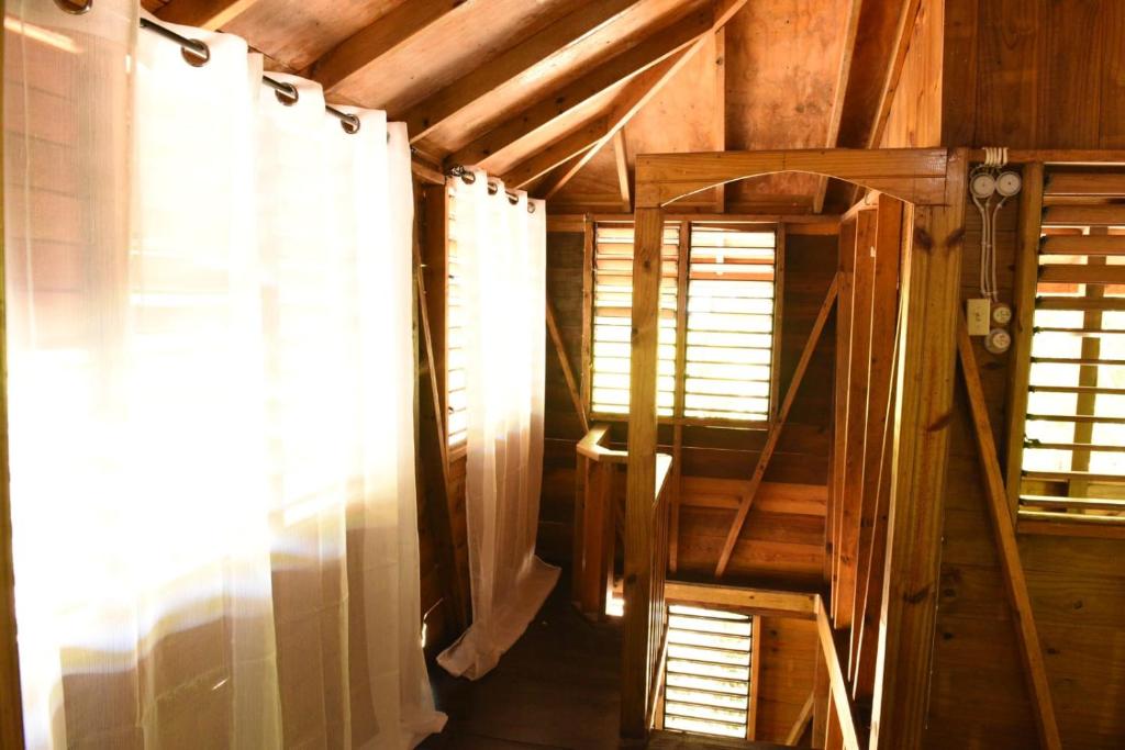 Fotografie z fotogalerie ubytování Somali Jungle Eco Lodge and Cabins v destinaci Goldsons Corner