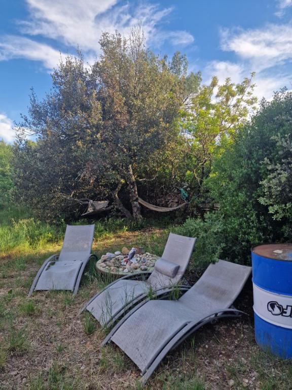 Zahrada ubytování Jolie caravane à SÏvåñă Oasis de Lumière