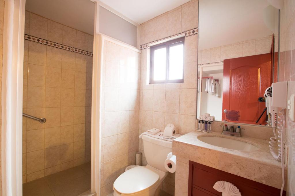 La salle de bains est pourvue de toilettes, d'un lavabo et d'une douche. dans l'établissement Hotel Santa Regina, à Guanajuato
