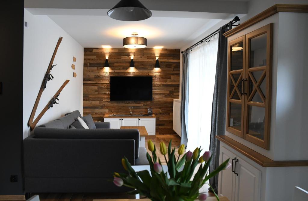 TV a/nebo společenská místnost v ubytování Apartamenty Stara Wisła