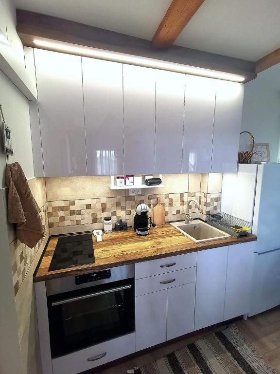 Kuchyň nebo kuchyňský kout v ubytování Kuća Tajna Banja Vrujci