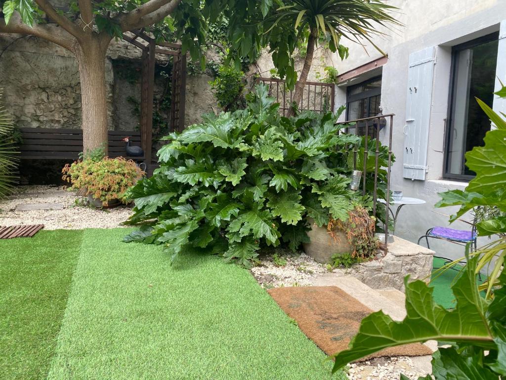 ogród z zieloną trawą i roślinami oraz ławką w obiekcie Les Lauriers Duplex centre ville avec jardin w mieście Nyons