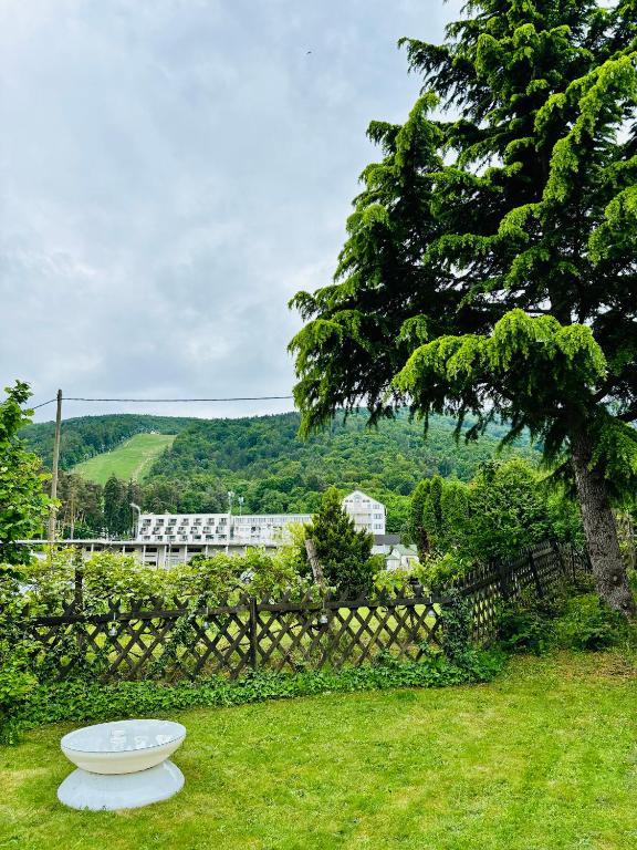 Příroda nedaleko hotelu