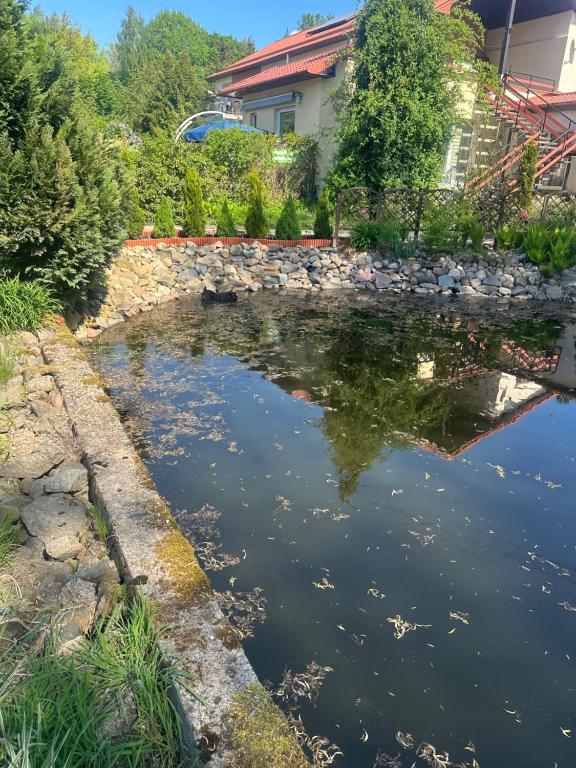 Príroda v okolí privátu