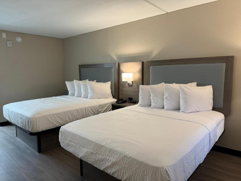 um quarto de hotel com duas camas com almofadas brancas em Hampton Inn Zion Crossroads Gordonsville em Gordonsville