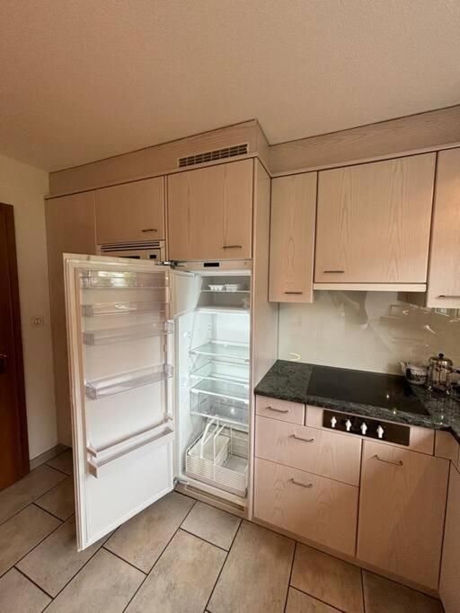 Kuchyň nebo kuchyňský kout v ubytování Garden Park Apartment