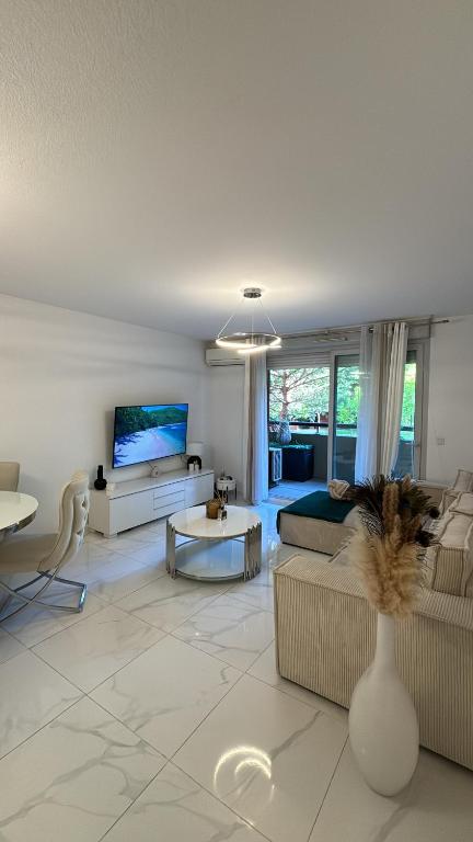 a living room with a couch and a tv at Appartement luxury in Montpellier