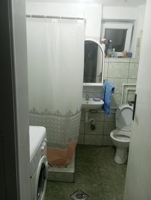 Koupelna v ubytování Dragačevska kuća na bregu