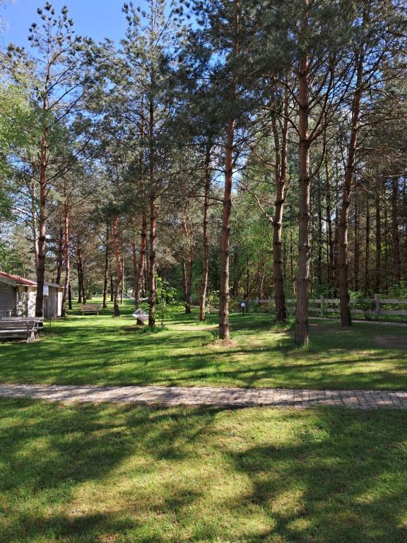 Vonkajšia záhrada v ubytovaní Osada Wejsuny