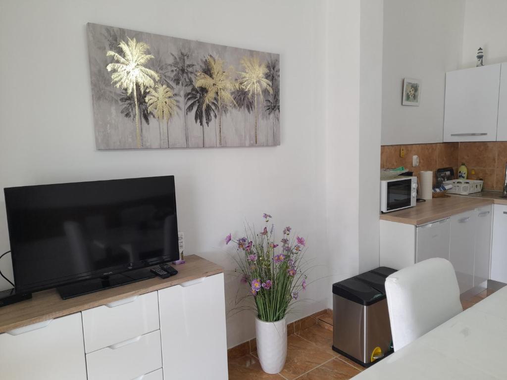 Kuchyňa alebo kuchynka v ubytovaní Apartment Megy