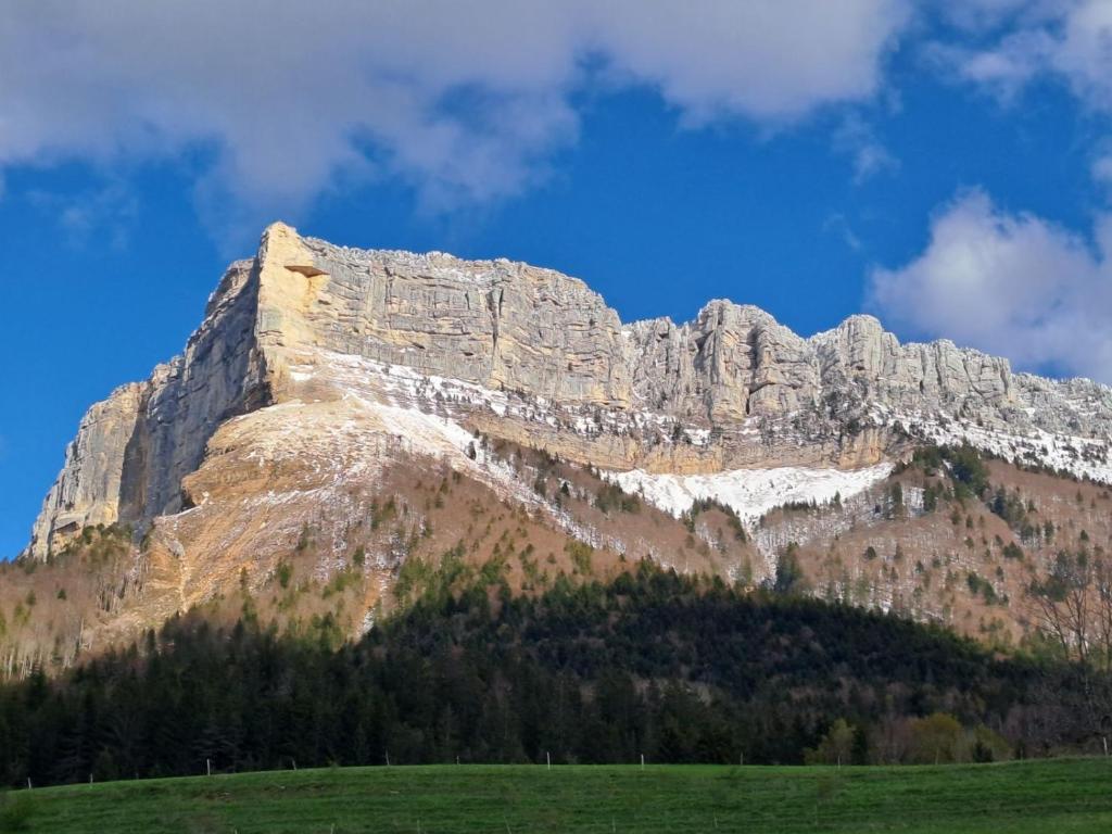 una montagna con un campo verde davanti di Appartement Grésival a Chapareillan