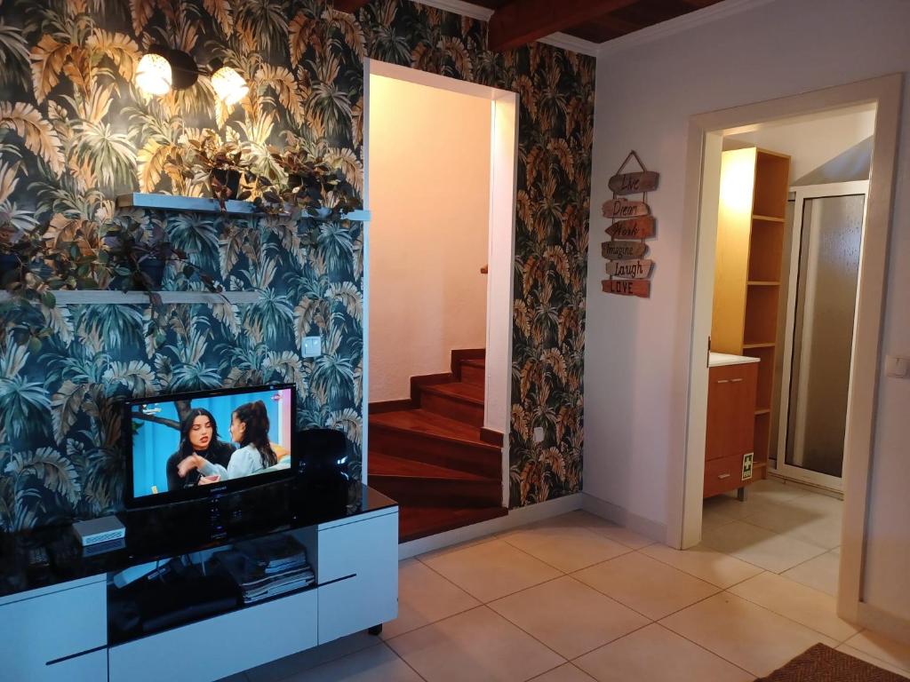 Uma televisão e/ou sistema de entretenimento em Fantatic Holiday House