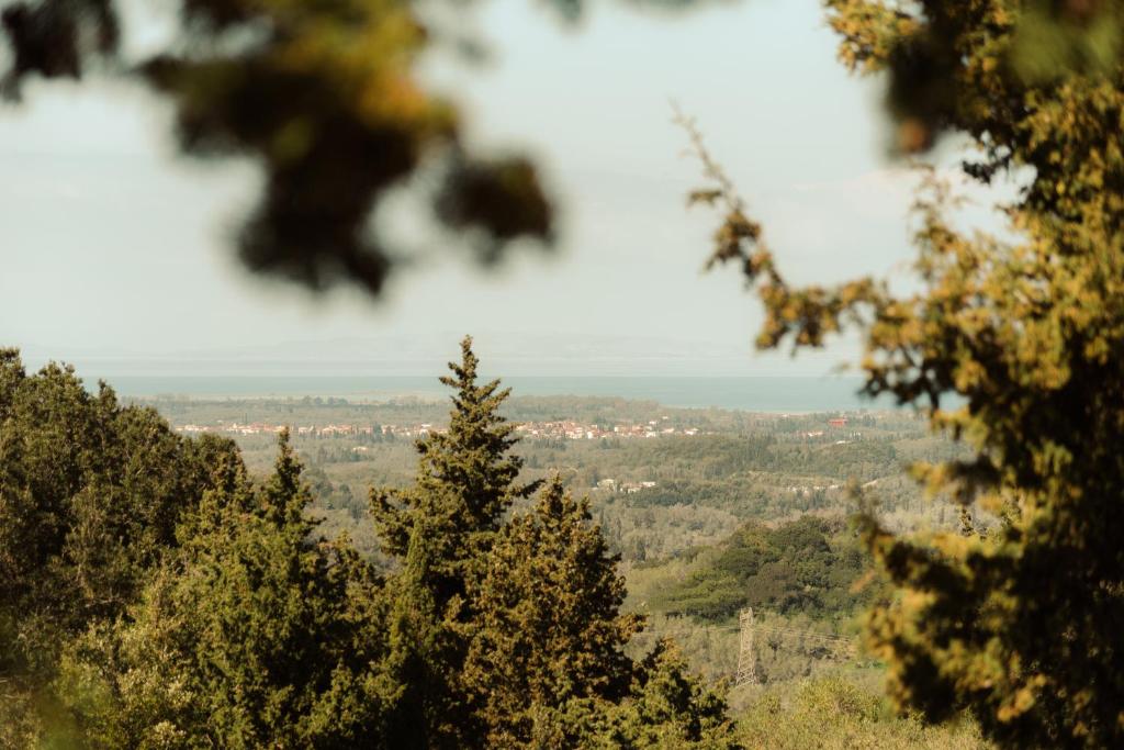 a view from the top of a hill with trees at Sunflower of Levante in Kavos