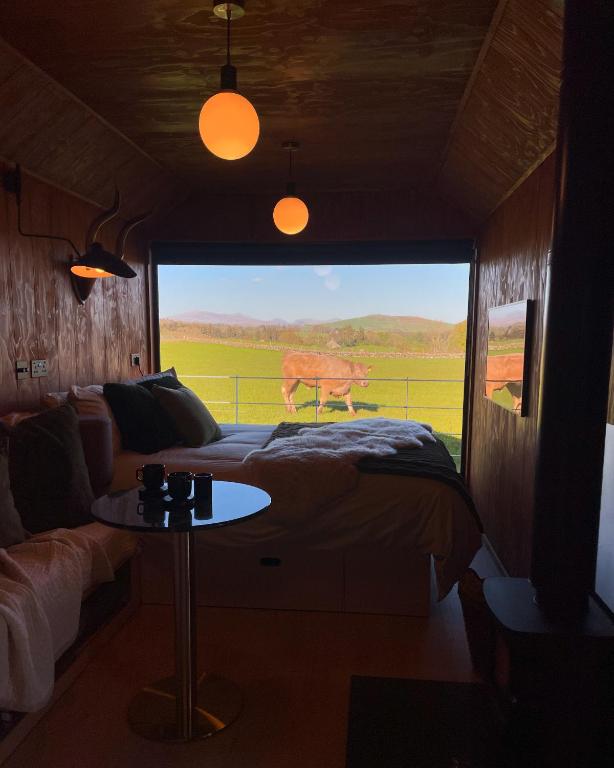 a room with a bed and a view of a deer at ARA Cabin - Mêl in Pwllheli