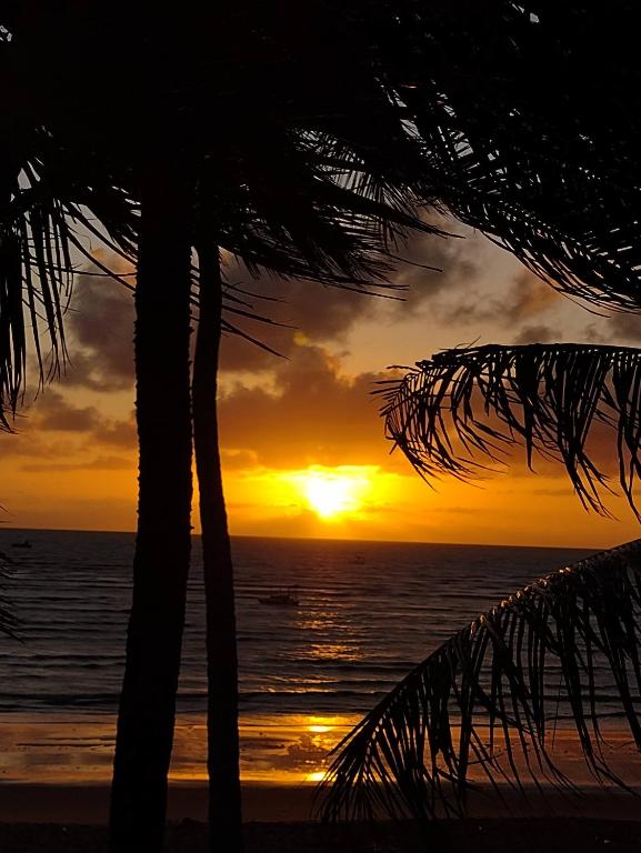 um pôr do sol na praia com uma palmeira em Casa à beira mar de Maragogi com 3 quartos, 4 banheiros e Área Verde em Maragogi