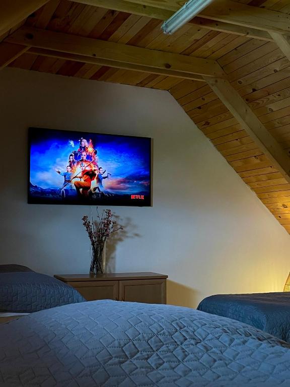 TV a/nebo společenská místnost v ubytování Enjoy the quiet nature in our unique cottage