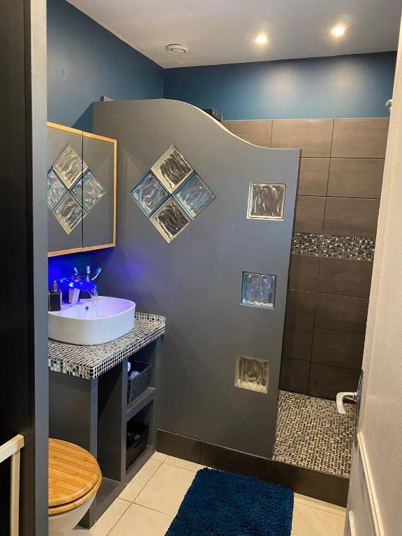 une salle de bain avec un lavabo et une douche dans l'établissement Cosy avec jardin, à Quincy-Voisins