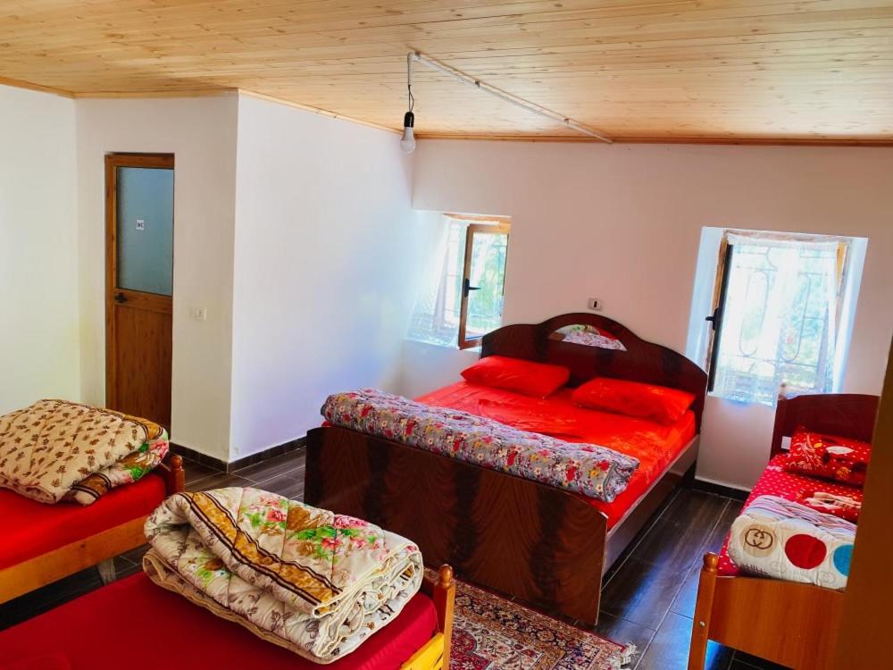 een slaapkamer met 2 bedden in een kamer bij Villa Silvester in Hardedaj