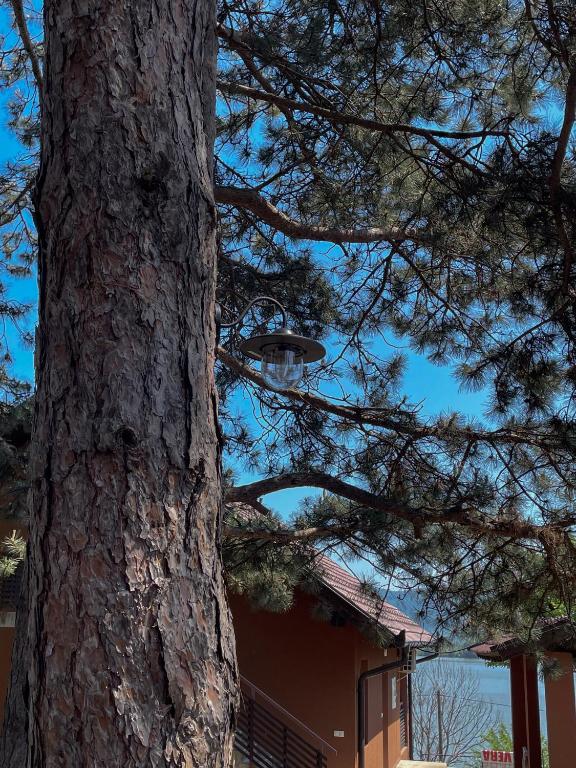 Fotografie z fotogalerie ubytování Apartmani Vera v destinaci Vinci