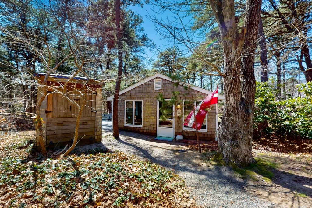 Κήπος έξω από το The Woodland Cottage