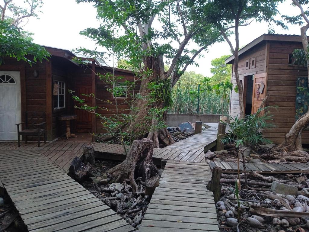 a wooden deck with a tree in front of a house at casa de huéspedes selvatica in Utila