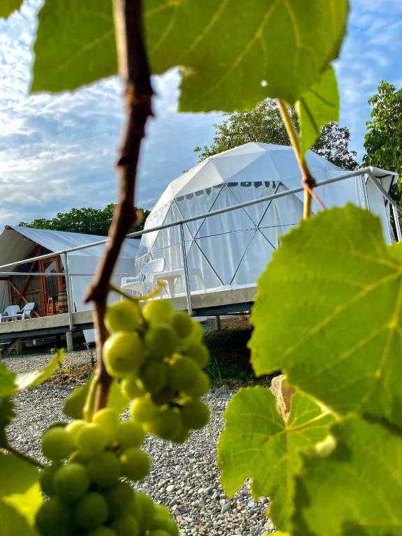 Zahrada ubytování Eco Cabañas Montana