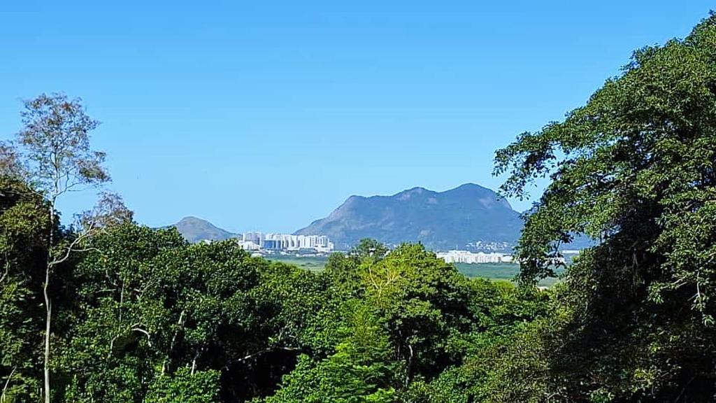 um grupo de árvores com uma montanha ao fundo em Sítio Paraiso no Rio de Janeiro