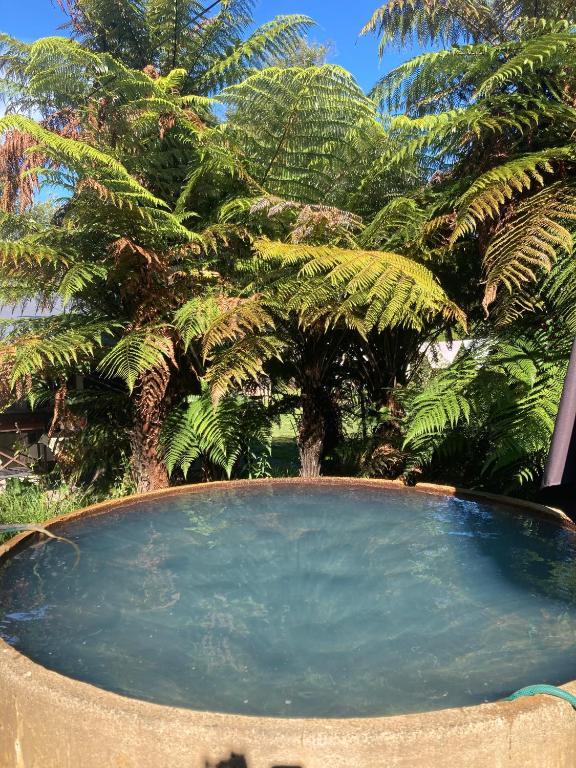 Kiwi cabin with geothermal pool by lake Taupo - Resim 20