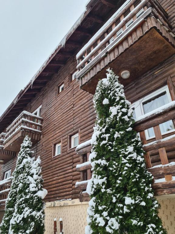 Vila Șoimul Predeal v zimě