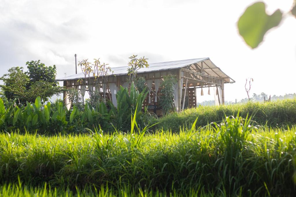 Zahrada ubytování Camani Glamping