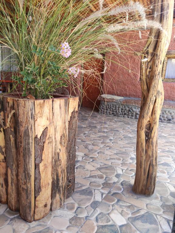 Fotografie z fotogalerie ubytování Pirca Hostal v destinaci San Pedro de Atacama