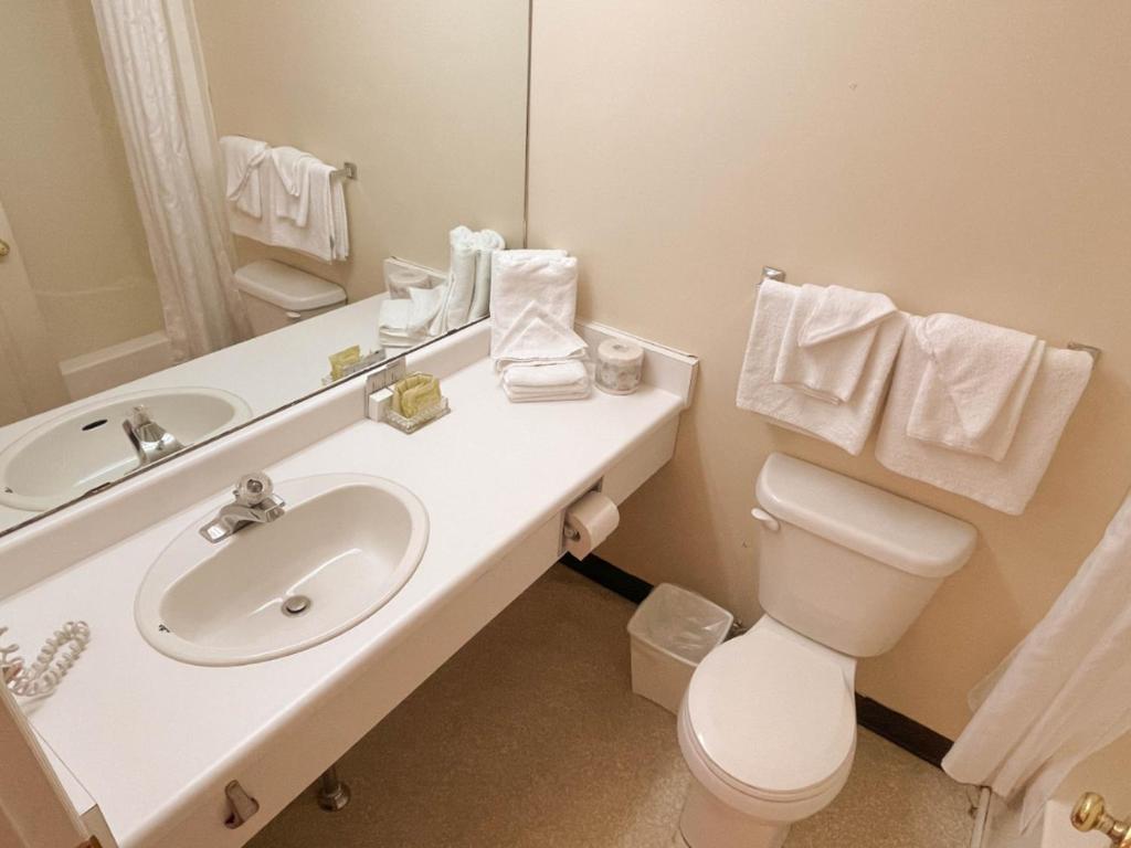 Silverwood Motel - King Studio